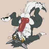 Legend_of_Zelda, Link, Twilight_Princess, Wolf_Link, drakefiar