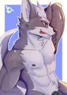 Star_Fox, Wolf_O'Donnell, rjkun