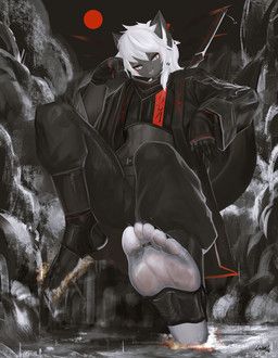 solutionwcs, 5_toes, ankle_wraps, anthro, biped