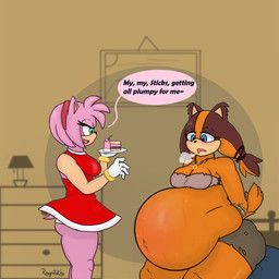 amy_rose, sticks_the_jungle_badger, sega, sonic_boom, sonic_the_hedgehog_(series)