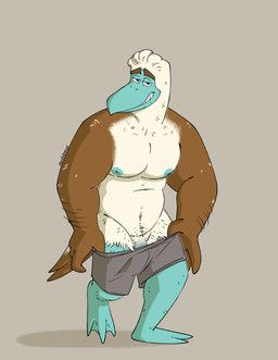 doug_(nardodraws), nardodraws, anthro, areola, arm_hair
