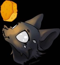 woon_(sixeyedfox), stirren, 6_eyes, anthro, black_background