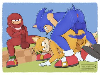 knuckles_the_echidna, miles_prower, sonic_the_hedgehog, sega, sonic_the_hedgehog_(series)