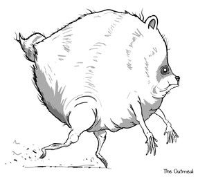 jimothy, the_oatmeal, ambiguous_gender, feral, fur