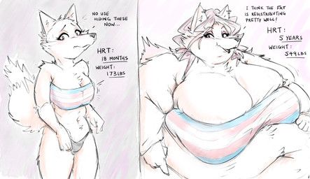 ryoxxl, anthro, before_and_after, big_breasts, breast_growth