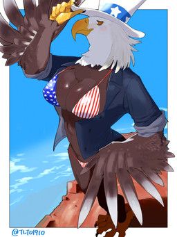 american_eagle, tlto1910, abs, accipitrid, accipitriform
