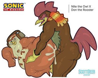 don_the_rooster, nite_the_owl, idw_publishing, sega, sonic_the_hedgehog_(comics)