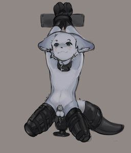 soapy_ji, anal, anal_penetration, animal_dildo, animal_sex_toy