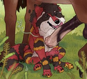 akiratheraccoon, fernsigillum, animal_genitalia, animal_penis, balls