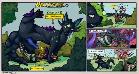 k'aazast, turai, nintendo, pokemon, conditional_dnp