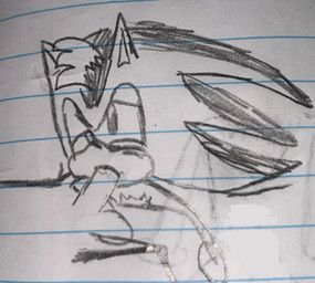 fan_character, sega, sonic_the_hedgehog_(series), speedking_private., anthro