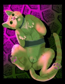 murtaugh_(stray), acayasin, :<, anus, domestic_cat