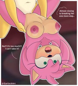 amy_rose, miles_prower, sega, sonic_the_hedgehog_(series), garlockart