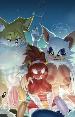 knuckles_the_echidna, miles_prower, rouge_the_bat, rouge_the_werebat, shadow_the_hedgehog