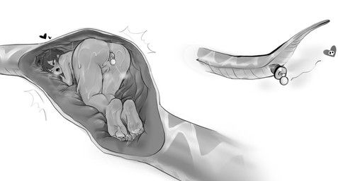 inferiorsubstance, 5_toes, after_vore, all_fours, ambiguous_feral