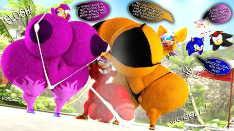 blaze_the_cat, knuckles_the_echidna, rouge_the_bat, shadow_the_hedgehog, sonic_the_hedgehog