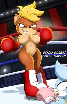 cinnamon_the_bandicoot, evelyn_the_cat, fan_character, sega, sonic_the_hedgehog_(series)