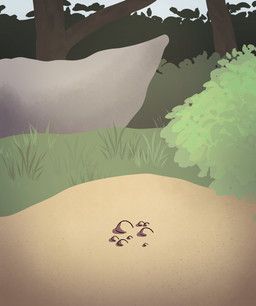 kirannaconda, bubble, death, drowned, forest