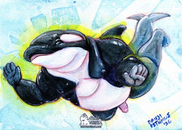 danji-isthmus, anthro, aquatic, cetacean, dolphin