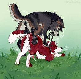 alloure_(_allourian), tango_(tango-pup), fernsigillum, anal, anal_penetration