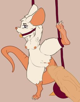 mina_(mina_the_hollower), mina_the_hollower, yacht_club_games, stardustspears, anthro