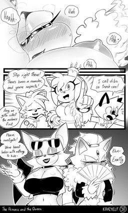 amy_rose, blaze_the_cat, rouge_the_bat, sega, sonic_the_hedgehog_(series)
