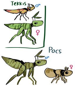 inspector_r, antennae_(anatomy), arthropod, black_eyes, black_feet