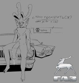 gaz-14_chaika, gaz_volga, volga_24, wrigglywormz, animal_genitalia