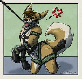 kemira, anthro, bdsm, biped, black_leash