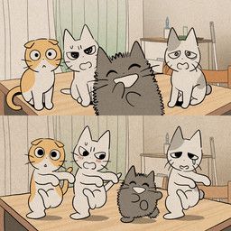 amayakasuneko, nagameruneko, shikaruneko, ureuneko, shikaruneko_(series)