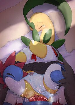 nintendo, pokemon, vcrow_shuu, animal_genitalia, animal_penis