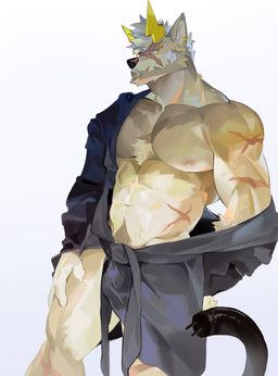 seatohao, abdominal_scar, abs, anthro, arm_scar