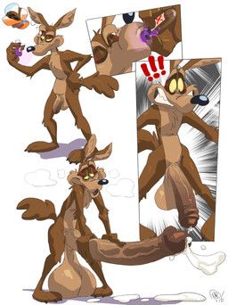 wile_e._coyote, looney_tunes, warner_brothers, maxpany, 3_toes