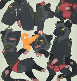taintedstar, after_anal, all_fours, american_opossum, animal_genitalia