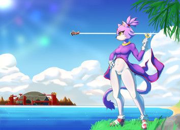 blaze_the_cat, sega, sonic_the_hedgehog_(series), unknown_artist, accessory