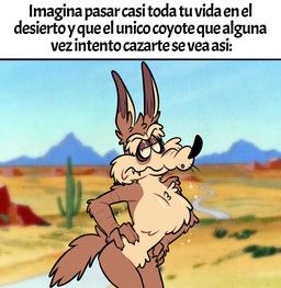 wile_e._coyote, looney_tunes, warner_brothers, solarusofsun, anthro