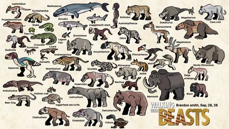 walking_with_beasts, walking_with_dinosaurs_(copyright), brand0nsm1th, accipitriform, adapid