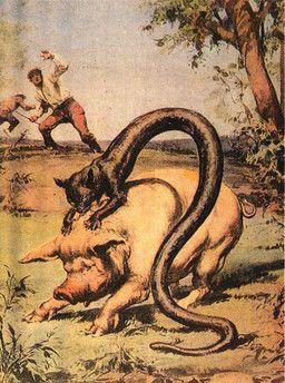 european_mythology, mythology, walter_molino, ambiguous_gender, attack