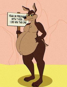 wile_e._coyote, acme_products, coyote_vs._acme, looney_tunes, warner_brothers