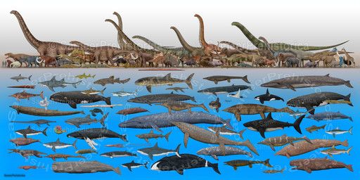 sameerprehistorica, aepyornis, aepyornis_maximus, african_elephant, allosauroid