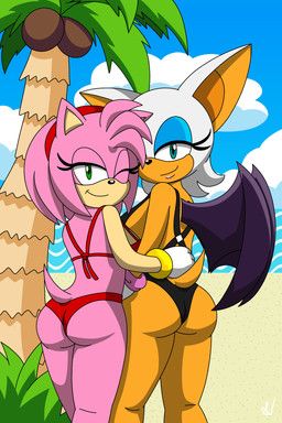 amy_rose, rouge_the_bat, sega, sonic_the_hedgehog_(series), shenvalor