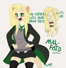 draco_malfoy, harry_potter_(series), booponies, conditional_dnp, accessory