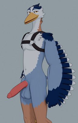 corvynth, anthro, avian, balls, beak