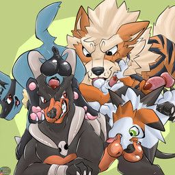 fan_character, nintendo, pokemon, kit_yaco, kitchidrachenblut