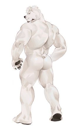 yong_(seatohao), seatohao, anthro, back_muscles, bear