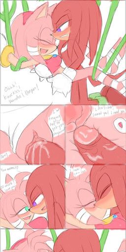 amy_rose, knuckles_the_echidna, sega, sonic_the_hedgehog_(series), angelofhapiness