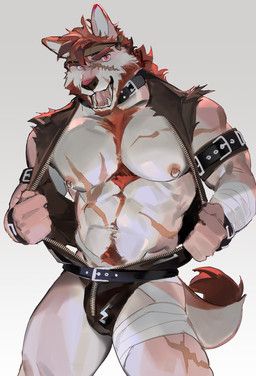 seatohao, abdominal_scar, accessory, anthro, arm_wraps
