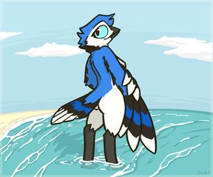 mati, bizart, anthro, avian, beach