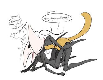 hornet_(hollow_knight), shakra_(hollow_knight:_silksong), hollow_knight:_silksong, hollow_knight_(franchise), team_cherry