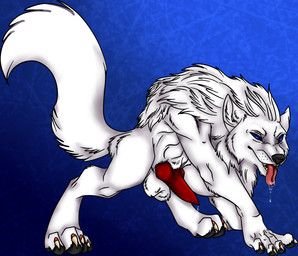 thejackaolf_(artist), 4_toes, animal_genitalia, animal_penis, balls
